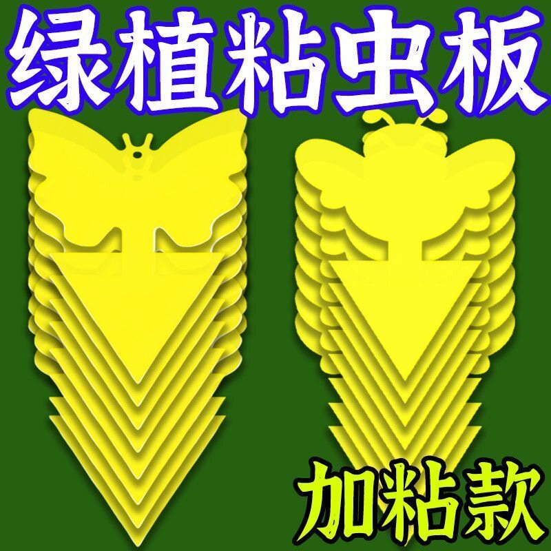 小黄板双面强力粘虫板