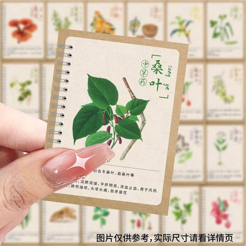 【大图释官方授权】新款中草药插画贴纸中国风药材古风创意桌面手账笔记墙面DIY自粘手机壳行李箱标签贴画纸