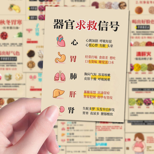 中医食疗养生科普DIY墙贴