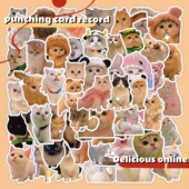 60张可爱小猫咪贴纸超萌动物猫猫贴画手机ipad防水贴画ins风装 饰