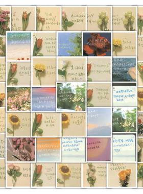 126张治愈系春日文案贴纸ins风高颜值文字手账dy装饰防水标签贴画