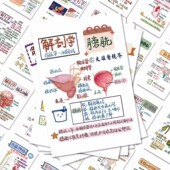 48张日常人体解剖医学贴纸人体医学器官知识装 饰手账diy贴画防水i