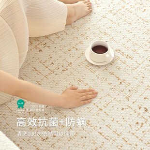 耐脏免洗地毯 现代简约奶油风地毯客厅轻奢高级感可擦纯色防水新款