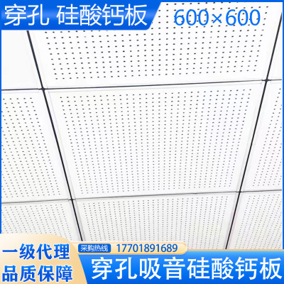 穿孔硅酸钙板吊顶600600吸音厂房机房吸音防火专用吊顶硅钙板