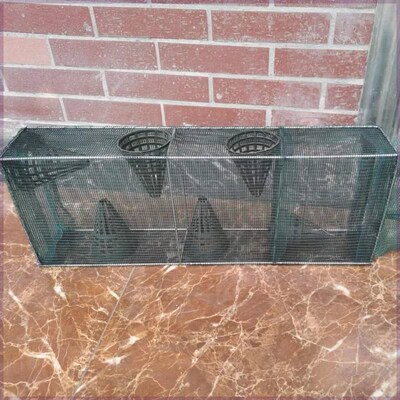 2024新款黄鳝鳝鱼笼龙虾抓鱼笼子泥鳅专用网河虾笼网红鱼虾笼神器