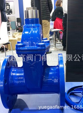 上海阀门RVHX型法兰防盗闸阀弹性座封闸阀加密磁性锁闭带钥匙