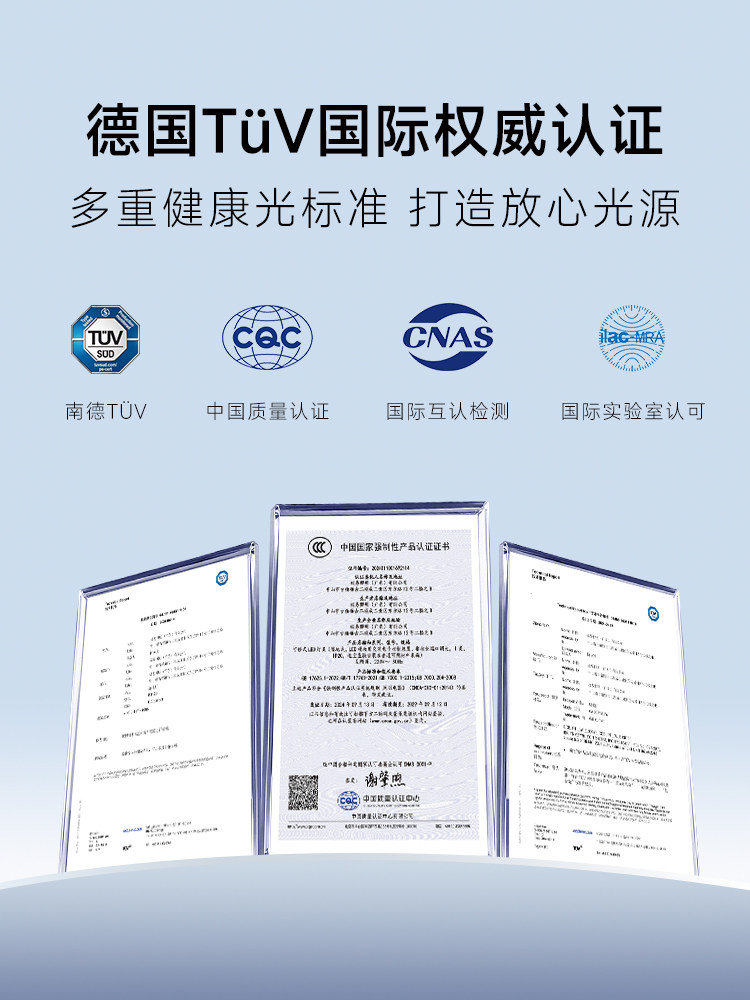 Full Spectrum Floor Lamp: Street Lamp Style E2120A+ - Product image 5