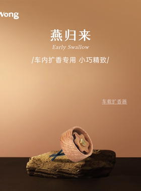 DrWong燕归来车载香薰扩香器出风口夹汽车摆件植物精油香氛扩香木