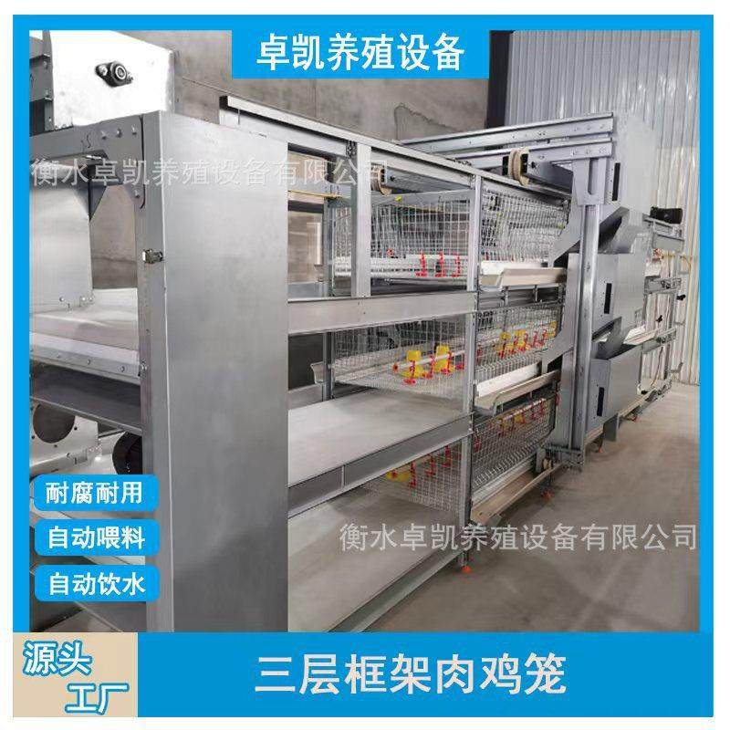 后热镀框架肉鸡笼多层肉鸡笼密度大合理养殖可出口加固笼门网,畜牧/养殖物资,特种养殖设备,淘宝优惠券,粉丝福利购,淘宝优惠卷