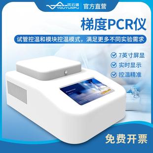 梯度PCR仪实时控温96孔定性PCR检测设备荧光定量梯度基因扩增仪器