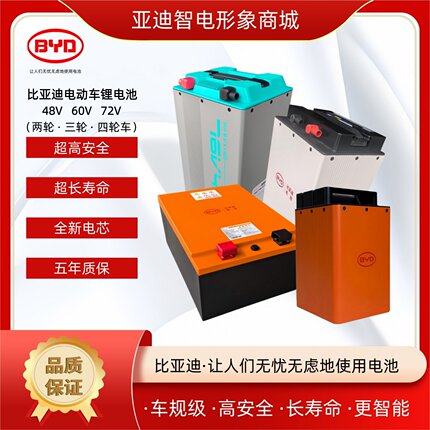BYD比亚迪48V 60V 72V两轮三轮四轮电动车电池磷酸铁锂电池长续航