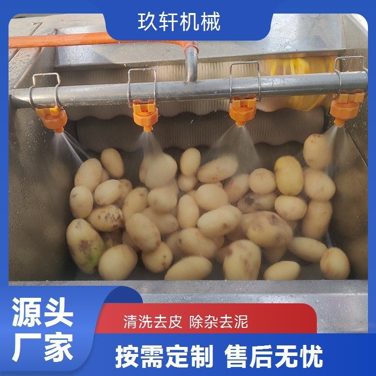 商用土豆毛辊清洗去皮机 芋头地瓜大型毛辊清洗机商用