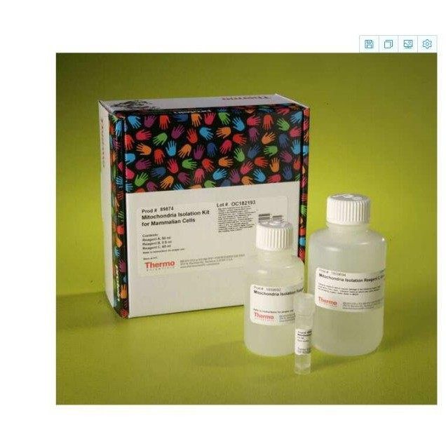 THERMO赛默飞89874线粒体分离试剂盒Mitochondria Isolation Kit