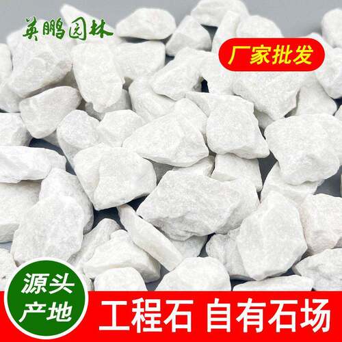 2-3厘米白色碎石子惠东露营地铺设白砾石深灰色洗米石散车