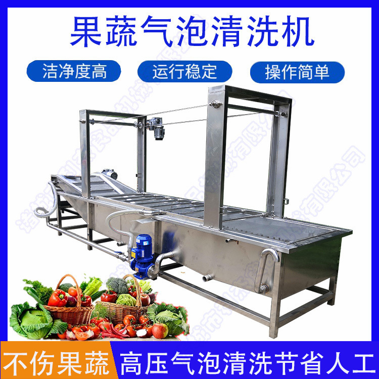供应红枣青苹果清洗机 全自动洗果机 果蔬喷淋清洗设备利杰机械