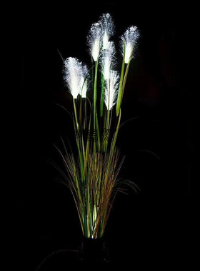 直销户外防水LED光纤芦苇灯 景观装饰灯 仿生态led麦穗插地花灯