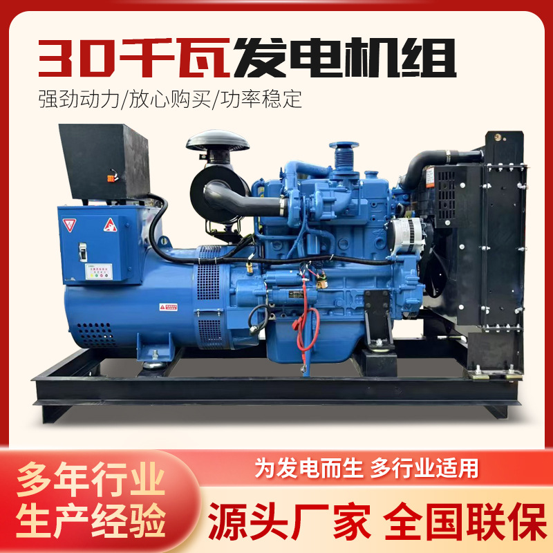 潍坊30kw发电机组 30千瓦柴油发电机 工地学校医院养殖场发电机组