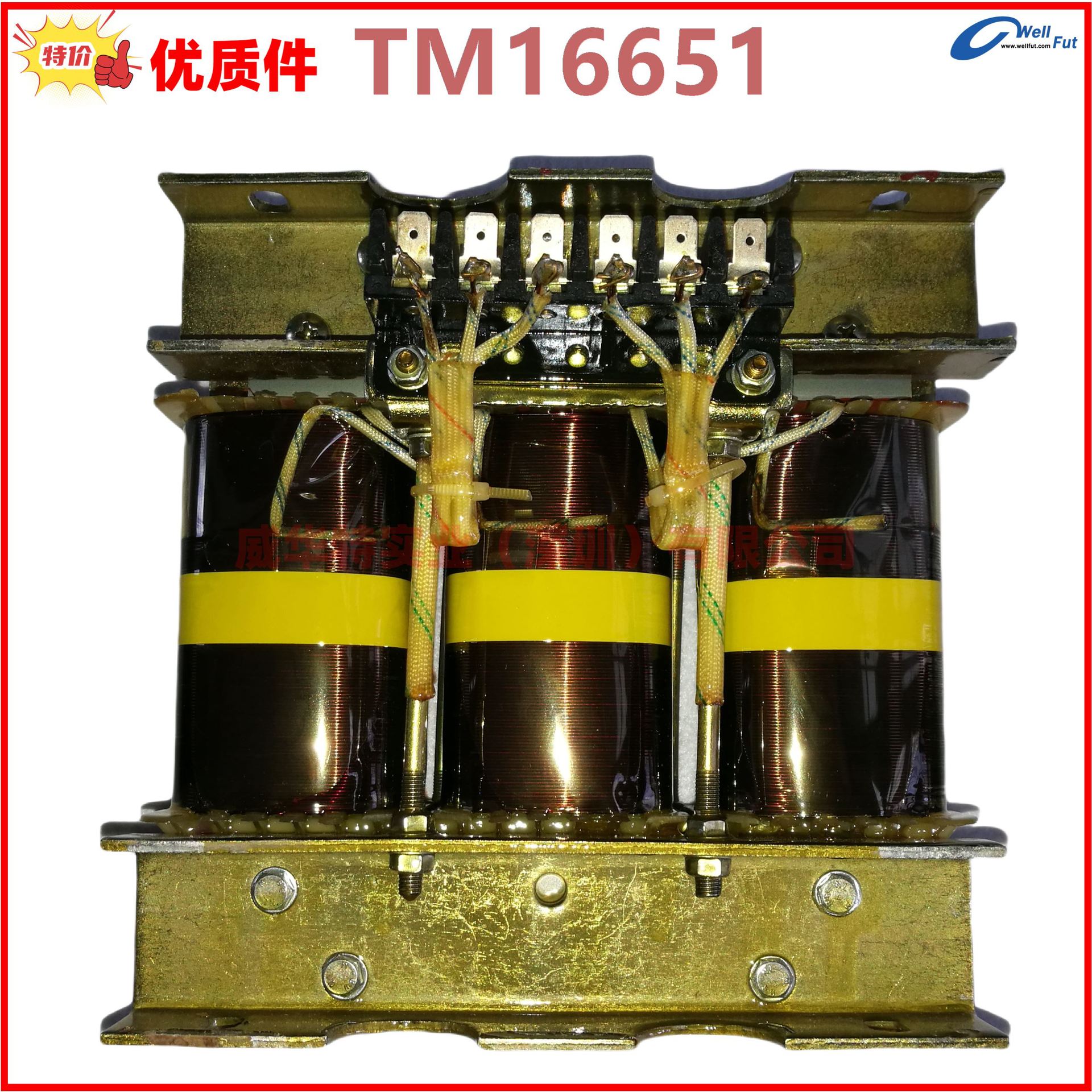 1FC6,IFC6发电机单相电流互感器 4AN40 , TH16933  TM16651