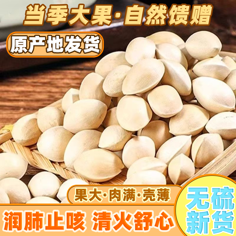 新鲜白果新鲜生大白果银杏果大佛指银杏白果子带壳优质白果子批发