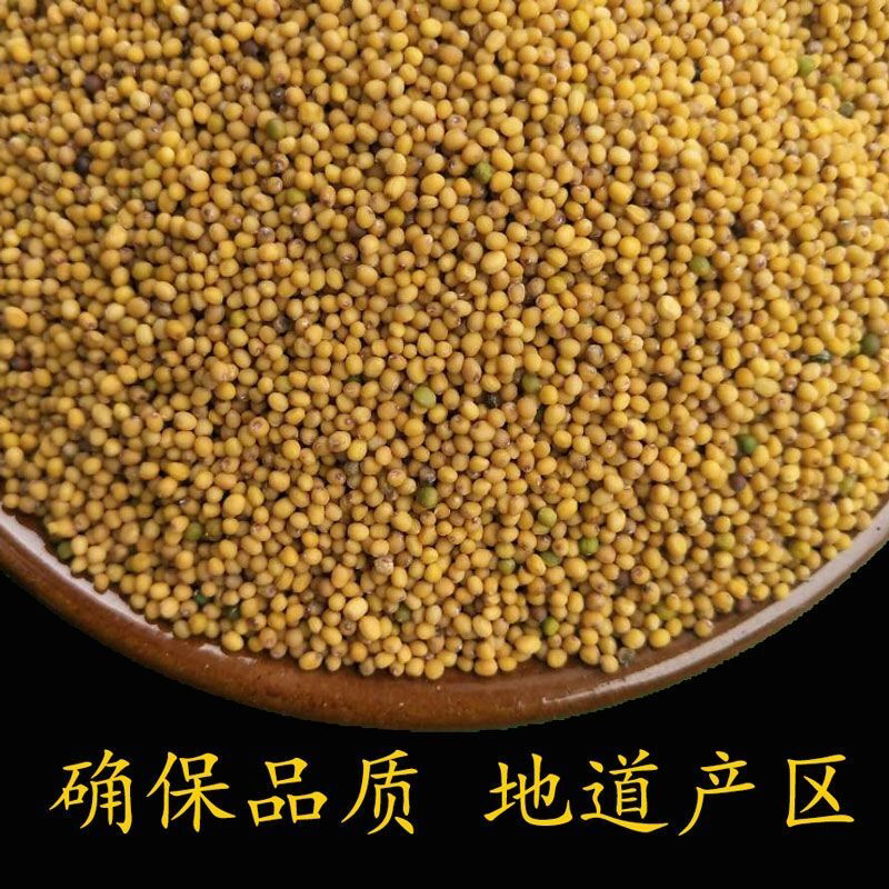 现磨黄芥末粉500g包邮荆芥籽子粒食用天然现磨芥菜籽干纯芥未茉面