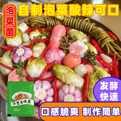 泡菜菌乳酸菌泡菜四川腌酸菜东北泡菜发酵粉独立小包装做开胃泡菜