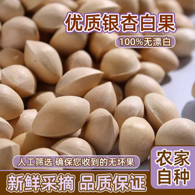 带壳银杏果白果当年秋季新鲜生白果银杏果天然不漂白无硫熏生银杏