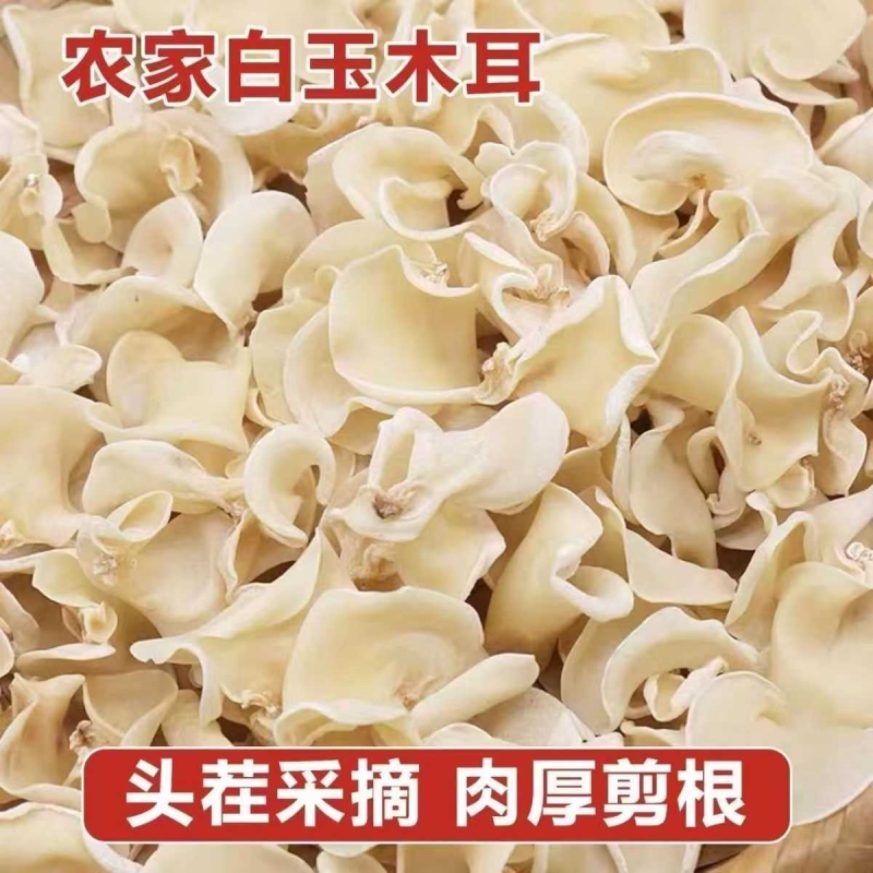 农家白玉木耳肉厚剪根特级白木耳干木耳商用纯天然白干木耳非榛蘑