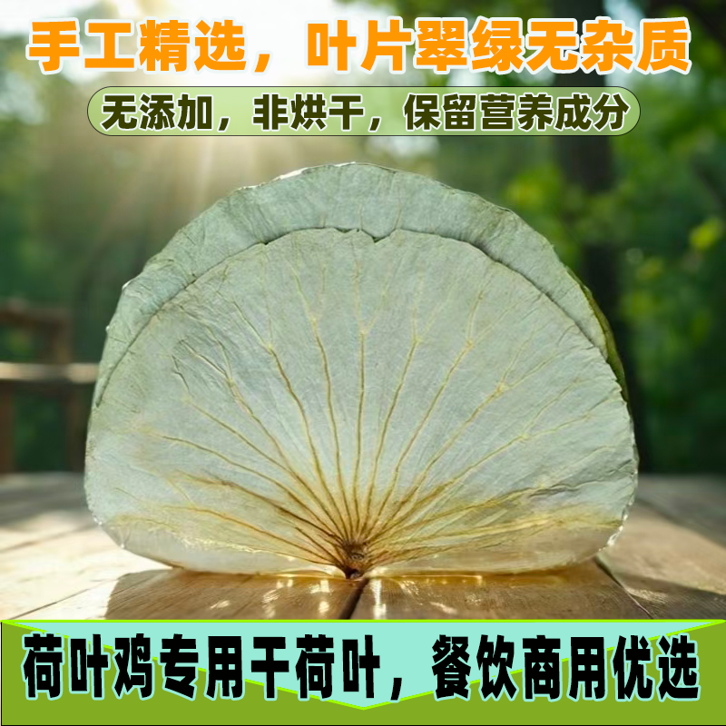 正宗微山湖整张干荷叶整张人工采摘商用做荷叶鸡荷叶饭大张荷叶