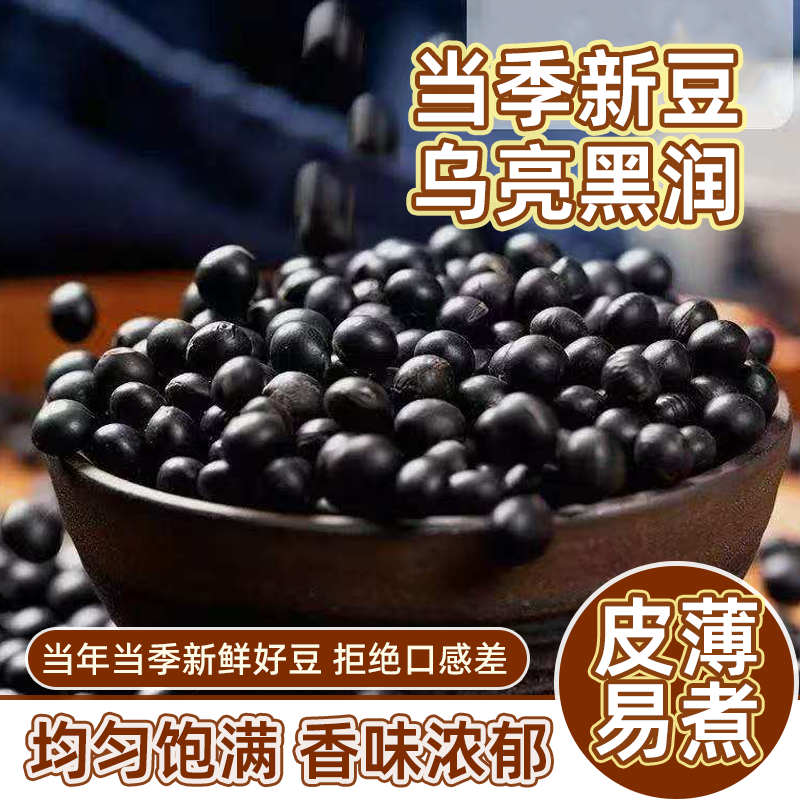精选新豆东北新货优质绿芯黑豆农家养生黑豆浆可发芽豆浆家用批发