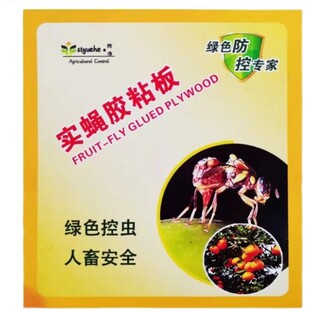瓜果实蝇诱粘板针蜂贴果蝇诱捕器贴桔小实蝇粘虫板果园黏胶板