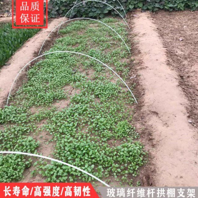 大小拱棚支架农用蔬菜花卉育苗保温玻璃纤维弹力棒花卉园艺拱杆m