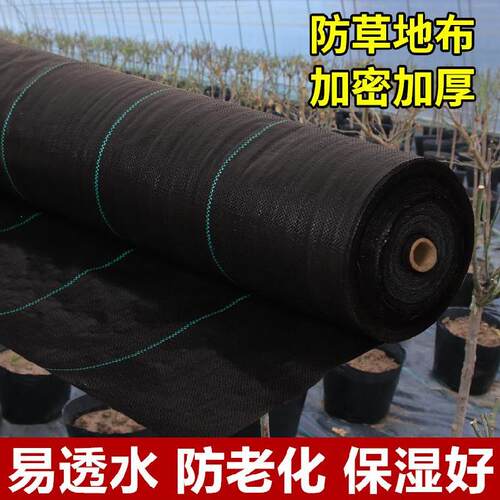 新品农用地布脐橙地保湿n防草布果地农用除草除草布地钉遮果园树