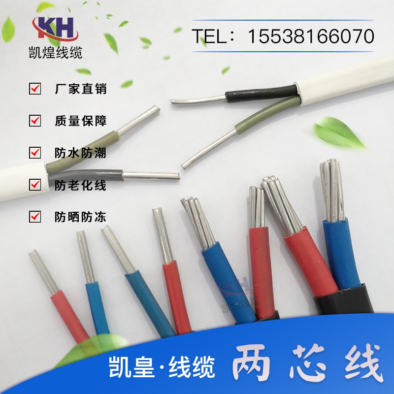 国标电缆线防老化地埋线2芯3芯2.5/4/6/10/16平方路灯专用护套线