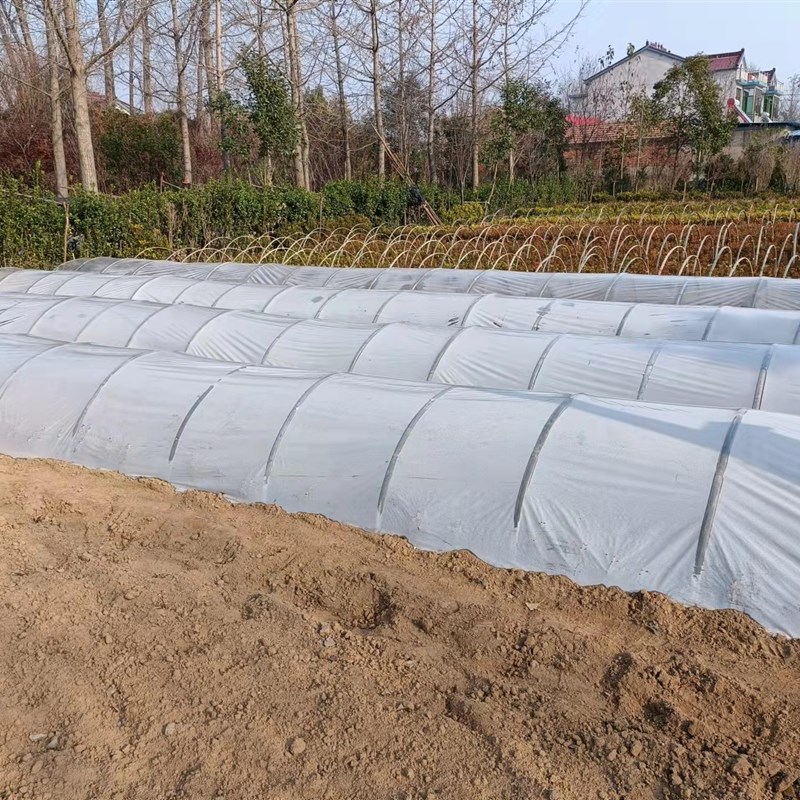 透明塑料薄膜农用小拱棚膜大棚二模种菜育苗加厚保温保湿防冻