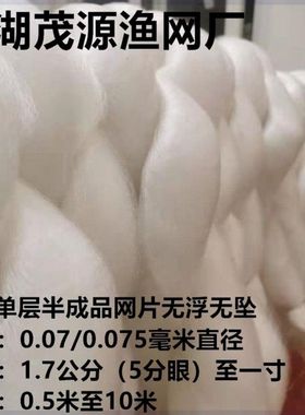 半成品小眼网片网衣捕粘网挂网白色丝网鲫鱼白条大眼