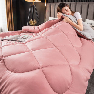 厚被子四季 通用冬被褥加厚保暖学生宿舍双人单人春秋棉被芯空调被