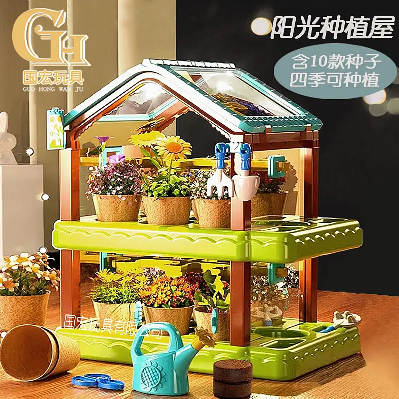 儿童种植小盆栽迷你植物生长观察