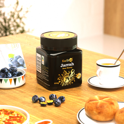 可瑞比TA35+桉树蜂蜜250g送礼