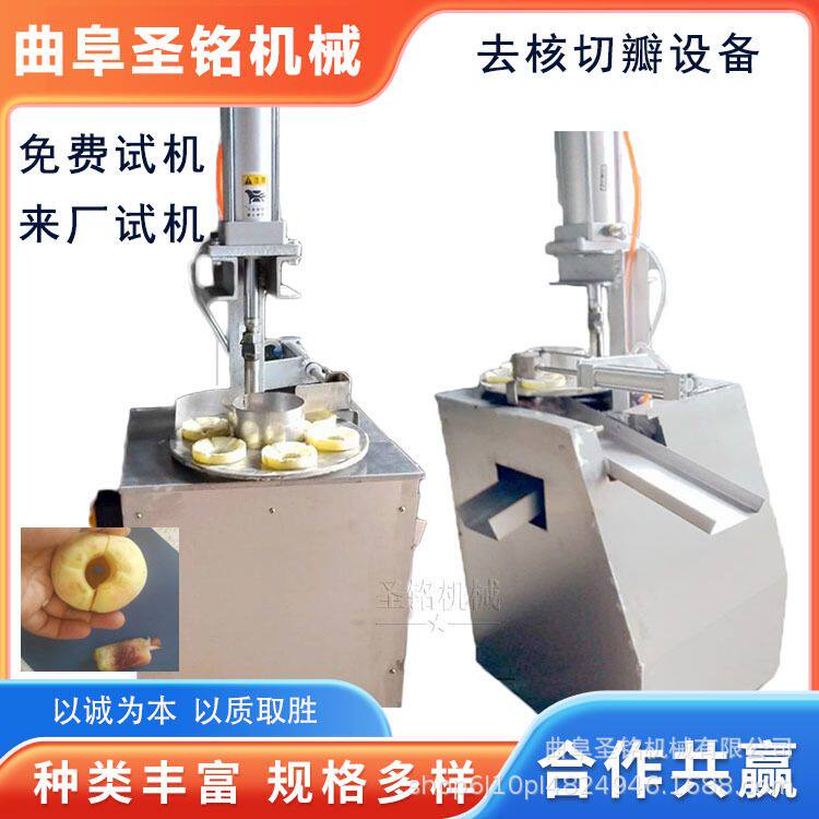 大型无花果切瓣苹果去核切瓣机 商用茄子切片机 山楂红枣去核机