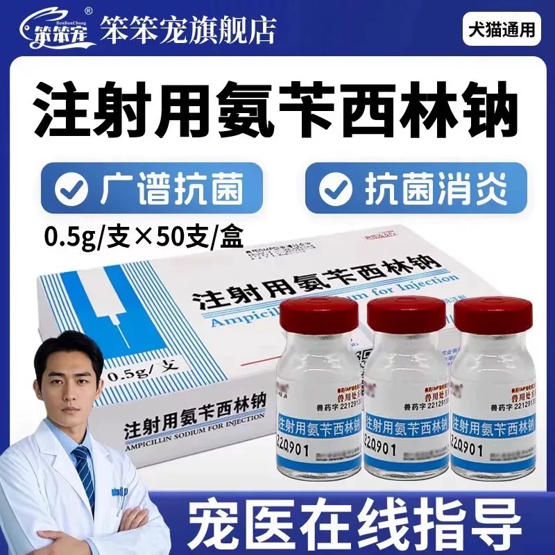 氨苄西林钠注射兽用宠物用消炎用