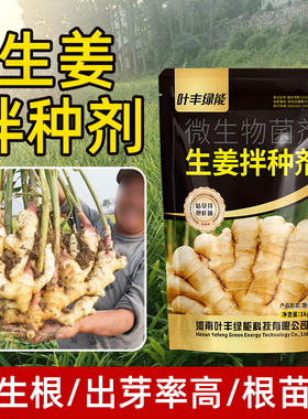 生姜专用拌种剂微生物菌肥生根促芽苗齐苗壮提质增产菌剂高效肥料