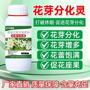 叶丰绿能花芽分化灵催花剂荔枝柑橘番茄果树保花保果增产叶面肥