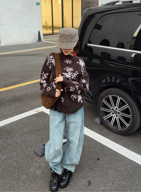 ASBR 原C！100%山羊绒提花圆领针织套头衫25冬新款复古风百搭上衣