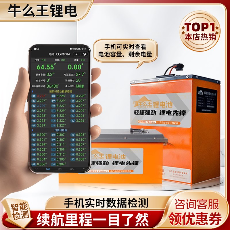 牛么王锂电池60V锂电池72V锂电池54AH两轮三轮电动车摩托车锂电池