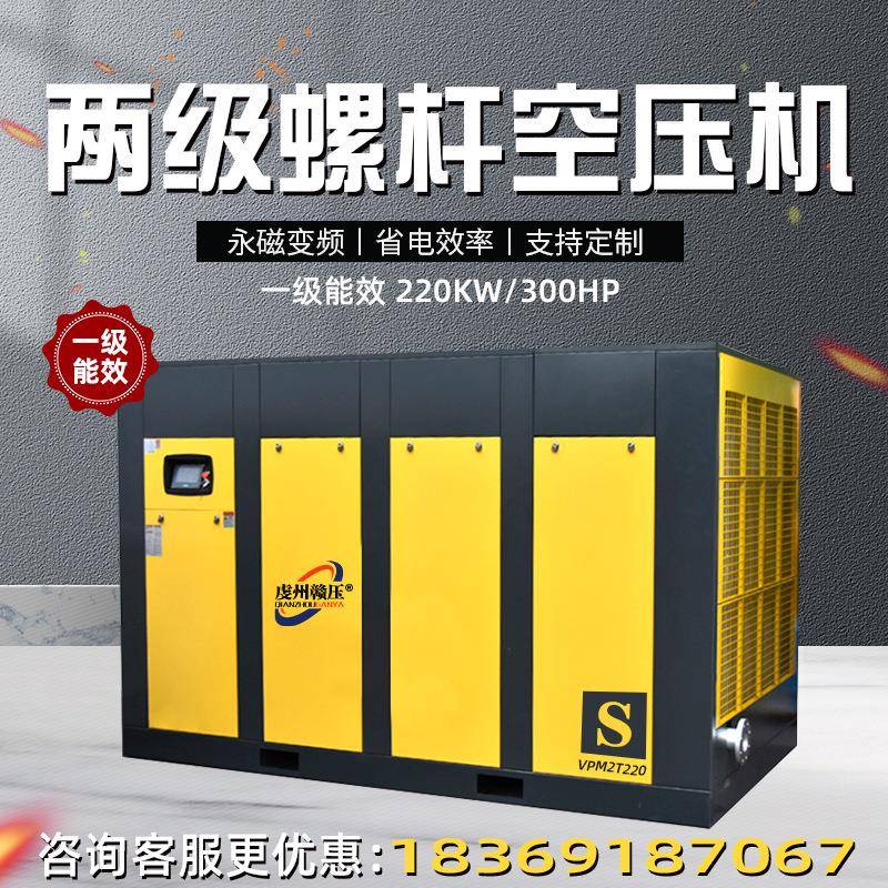 式永磁变频静音螺杆空机22KW 11压0 13 1620 250二两VPM2T90 双级