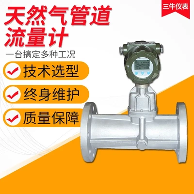 天然气流量计/高精度天燃气