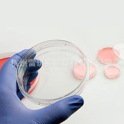 NUNC 150460 35mm培养皿，带盖，透气，已灭菌，聚苯乙烯