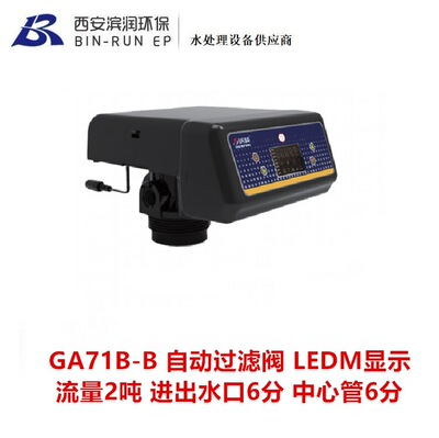 国产2吨自动过滤阀 LEDM显示 GA71B-B 进出水排污口6分 中心管6分