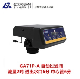 排污口6分 国产2吨自动过滤阀 进出水口6分 中心管6分 GA71P