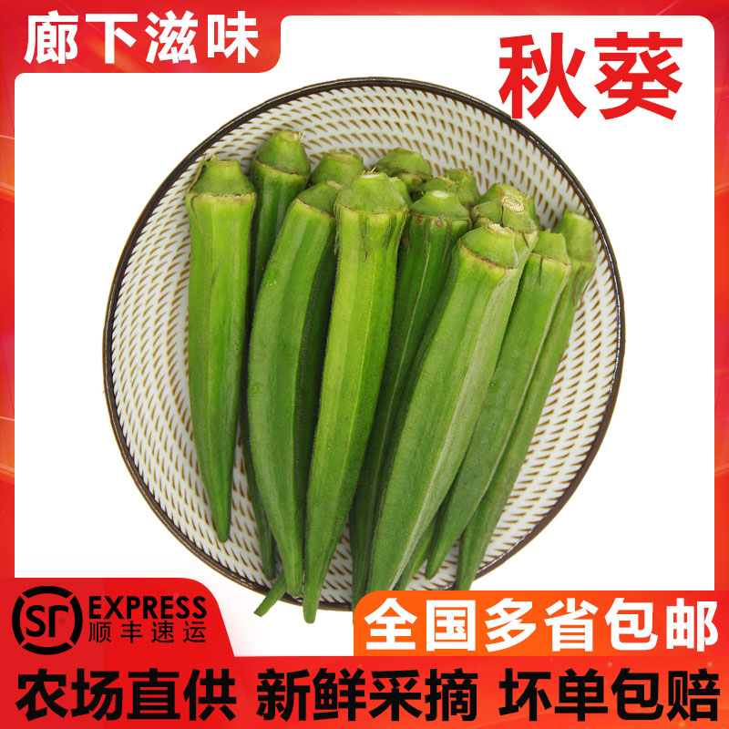 廊下滋味秋葵500-2500g 新鲜黄秋葵 六角羊角豆洋辣椒顺丰包邮